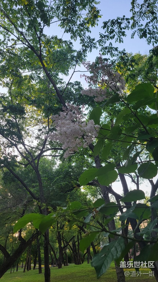 美丽的劳动公园，开心的星部落活动。