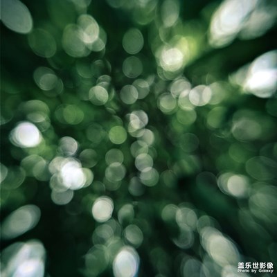 【光影色彩】+ 点点光斑