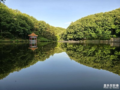 【光影色彩】走进自然