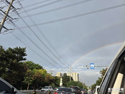 【光影色彩】+ 雨后随手拍