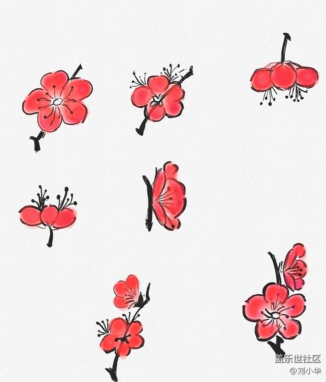 spen绘画梅花图分享