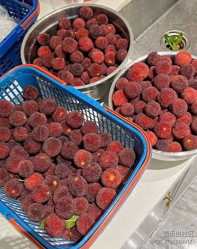 【美食当鲜】杨梅酱