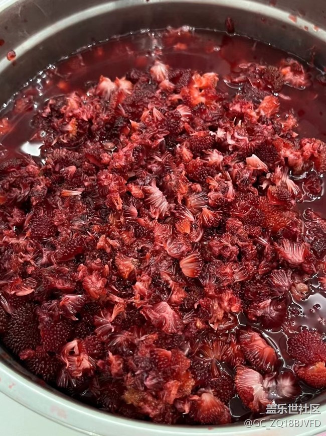 【美食当鲜】杨梅酱