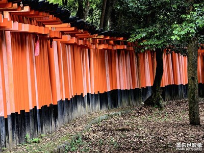 【光影色彩】伏见稻荷大社印象