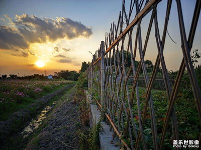 【光影色彩】+夕阳下