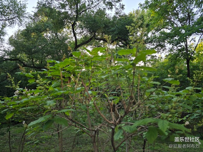 6月于labor park与你相遇