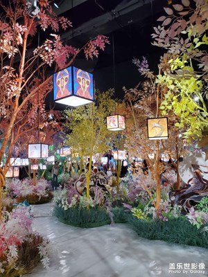【光影色彩】+ 花花世界