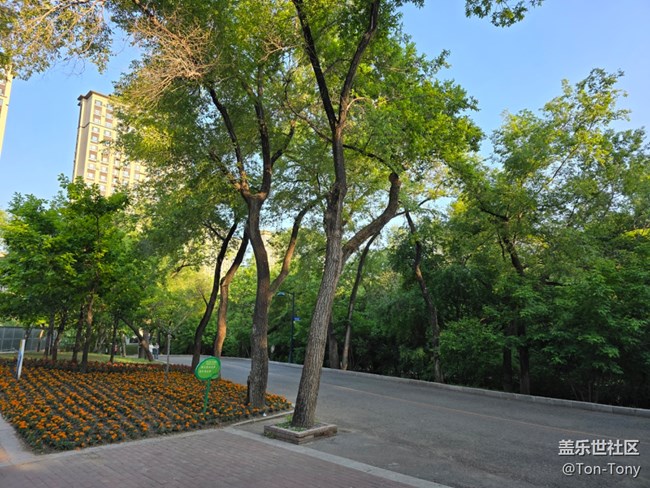 【6月活动】与大家一起参与活动，很开心
