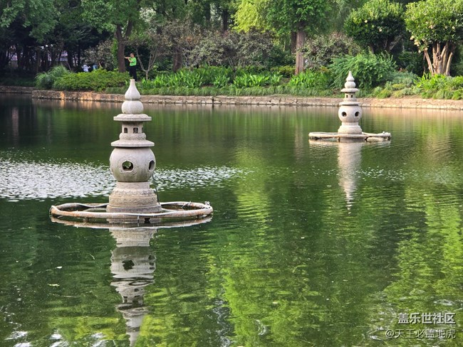 #今夏，当下——公园里的湖