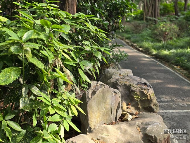 【色彩与光影的邂逅】+小路