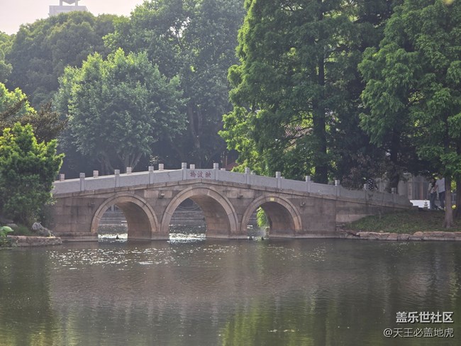 #今夏，当下——公园里的湖