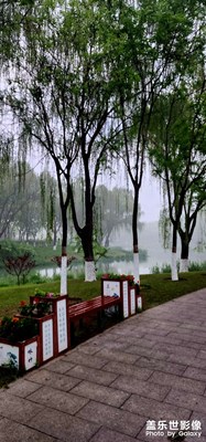 【夏至】+ 清晨的公园