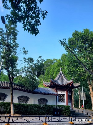 【夏至】+ 景区视角