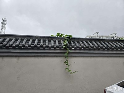 随手拍