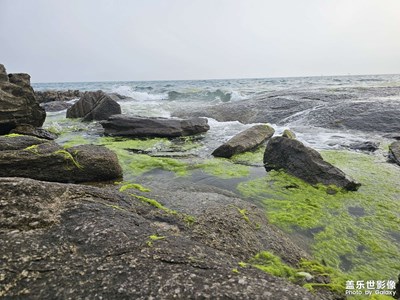 [夏至]夏至随想
