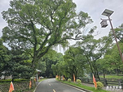 随手拍