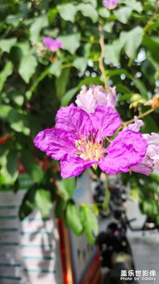 【夏至】+室内室外