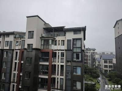 随手拍
