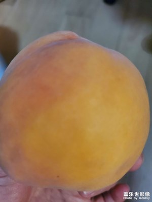 【夏至】+ 桃子