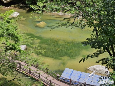 【夏至】+ 绿色生机