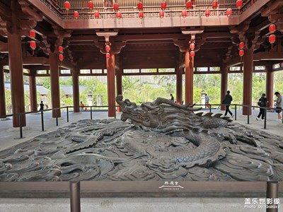 随手拍