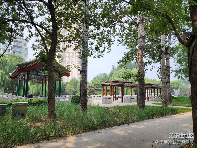 【色彩与光影的邂逅】踏青纳凉去河边