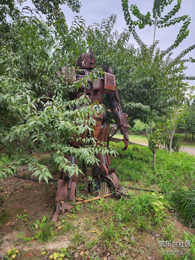 【色彩与光影的邂逅】纳凉的机器人