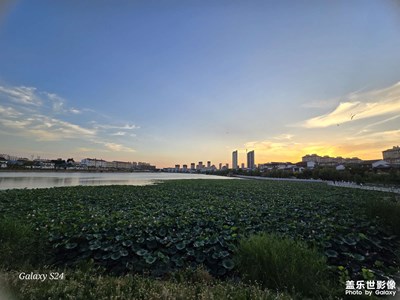 【如影随形】独属夏天的景色