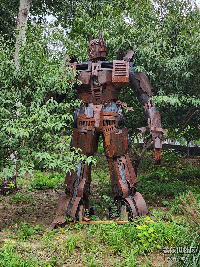 【色彩与光影的邂逅】纳凉的机器人