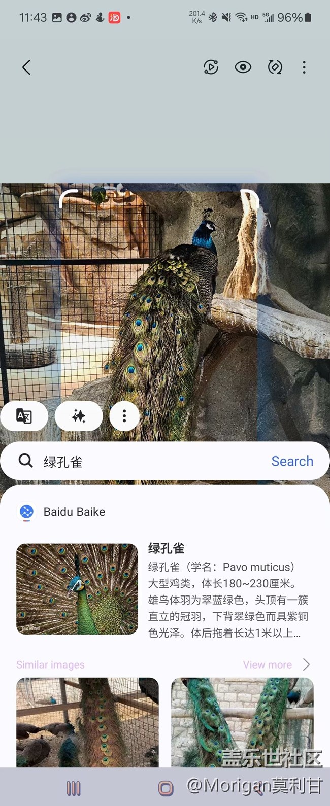 【沈阳星部落】Galaxy A I即圈即搜功能品鉴活动