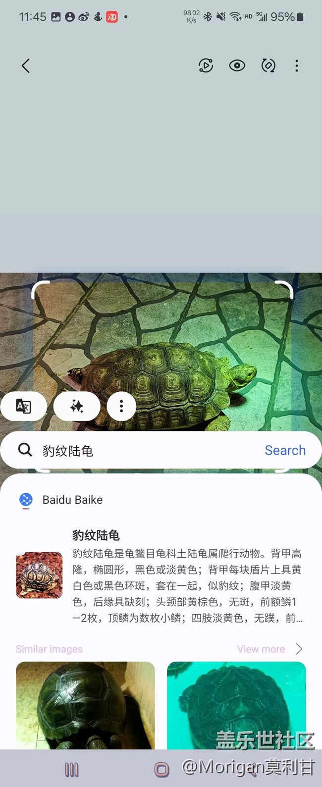 【沈阳星部落】Galaxy A I即圈即搜功能品鉴活动