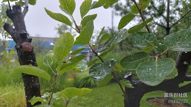 【色彩与光影的邂逅】雨后清新的空气