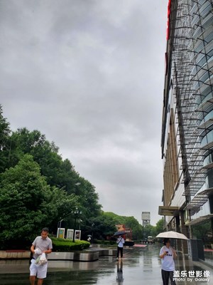 【如影随形】+ 雨中漫步