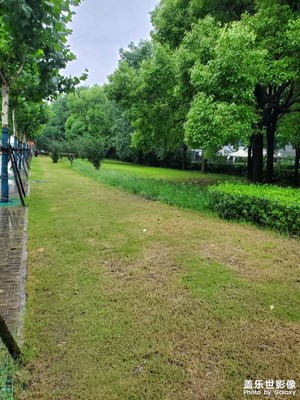 【如影随形】+ 雨后青绿色