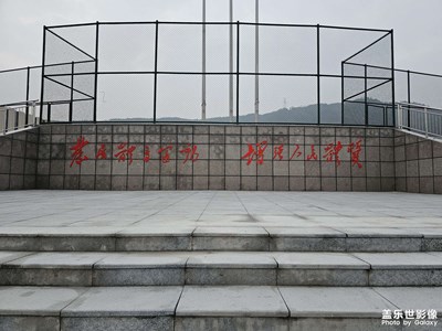 随手拍