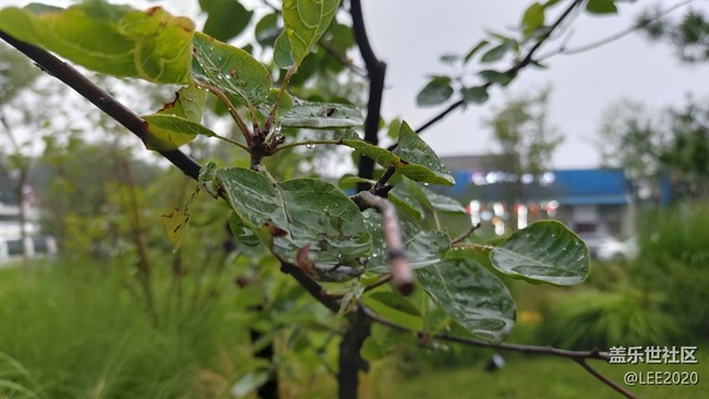 【色彩与光影的邂逅】雨后清新的空气