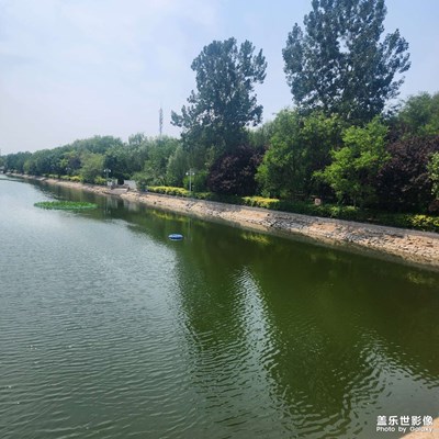 如影随形 入夏随拍