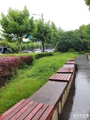 【如影随形】+ 雨后公园