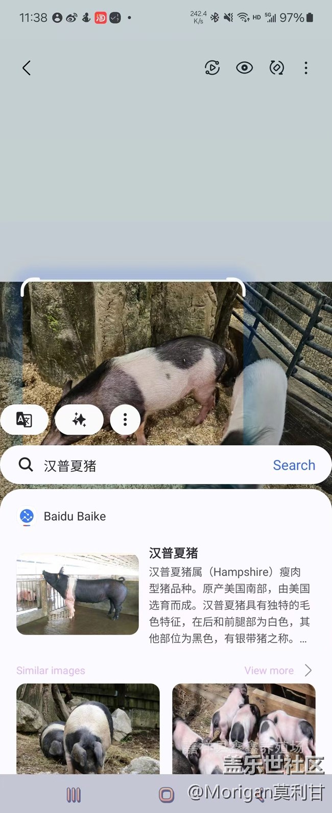 【沈阳星部落】Galaxy A I即圈即搜功能品鉴活动