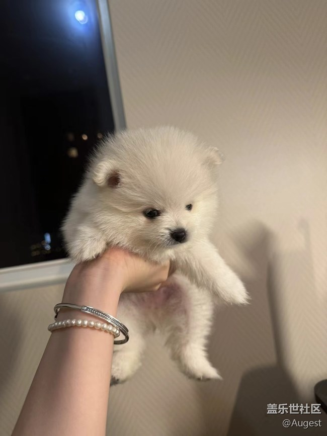 【光影盛宴】各种动物