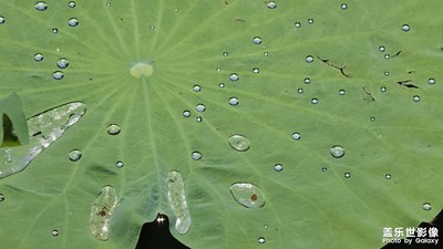 【如影随形】湖水之中