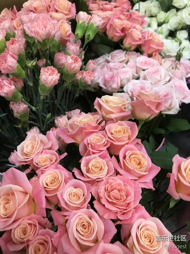 【光影盛宴】花儿