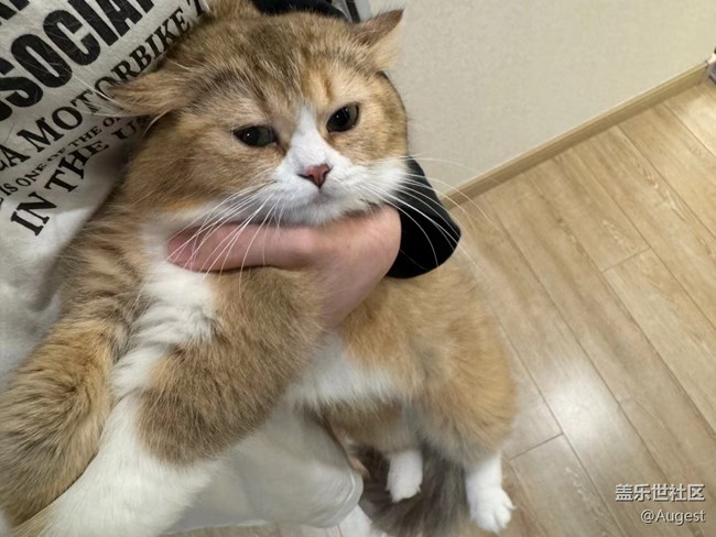 【光影盛宴】各种动物