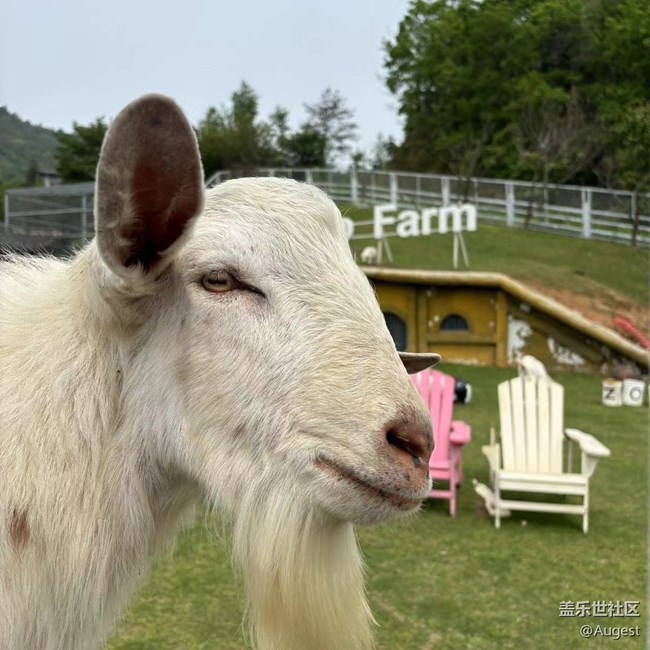 【光影盛宴】各种动物