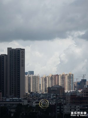 【如影随形】行则将至