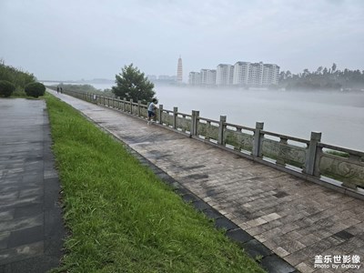 随手拍