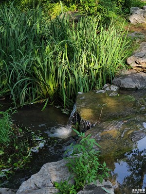 【如影随形】炎热的夏天