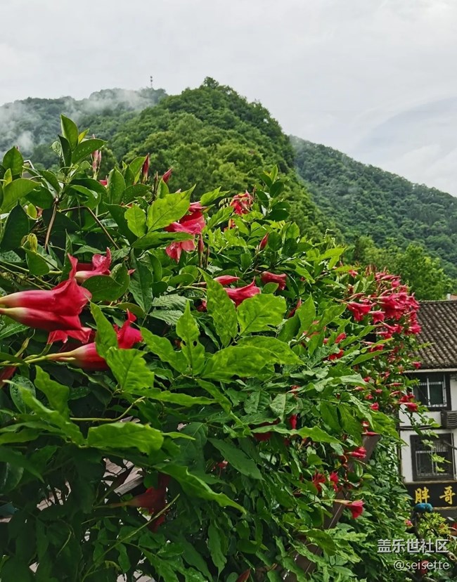 【小众旅行地】光雾山避暑