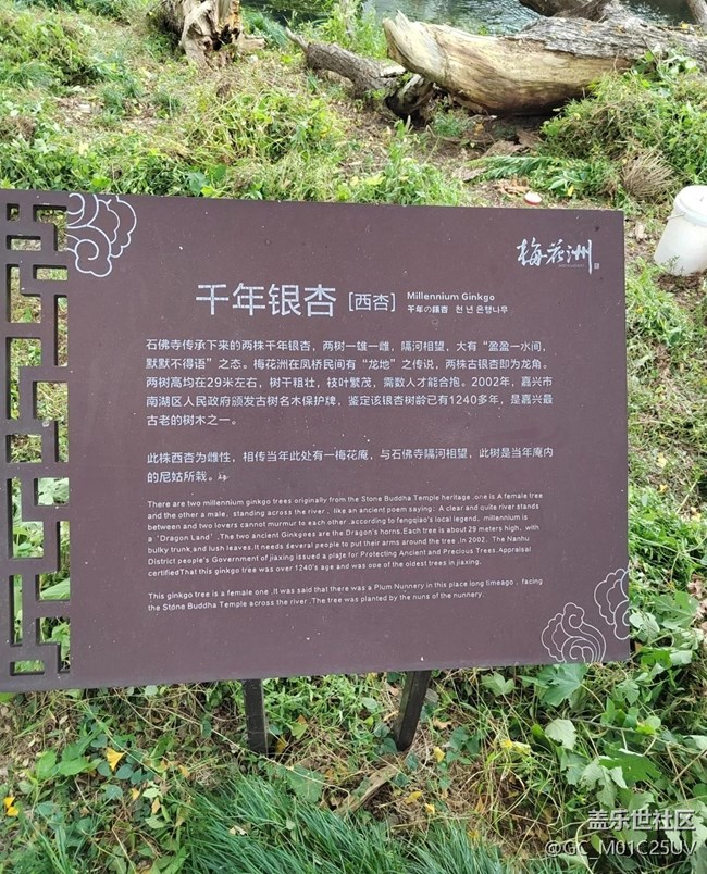 【小众旅行地】嘉兴梅花洲