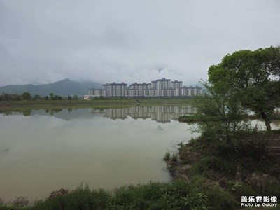 随手拍
